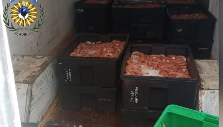 Langostino decomisado por policía