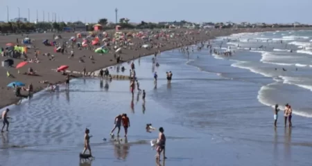 Bagres de mar en Playa Unión