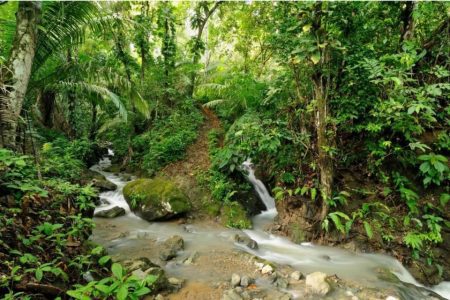 Crisis ambiental Colombia