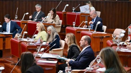 Legislatura discute presupuesto 2025