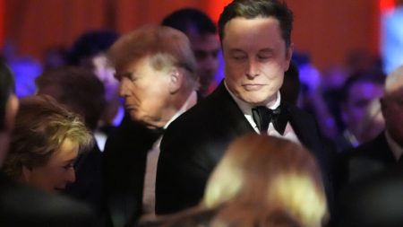 Musk acceso ilimitado Trump