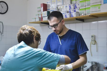 Jornada de castración animal en Playa Unión