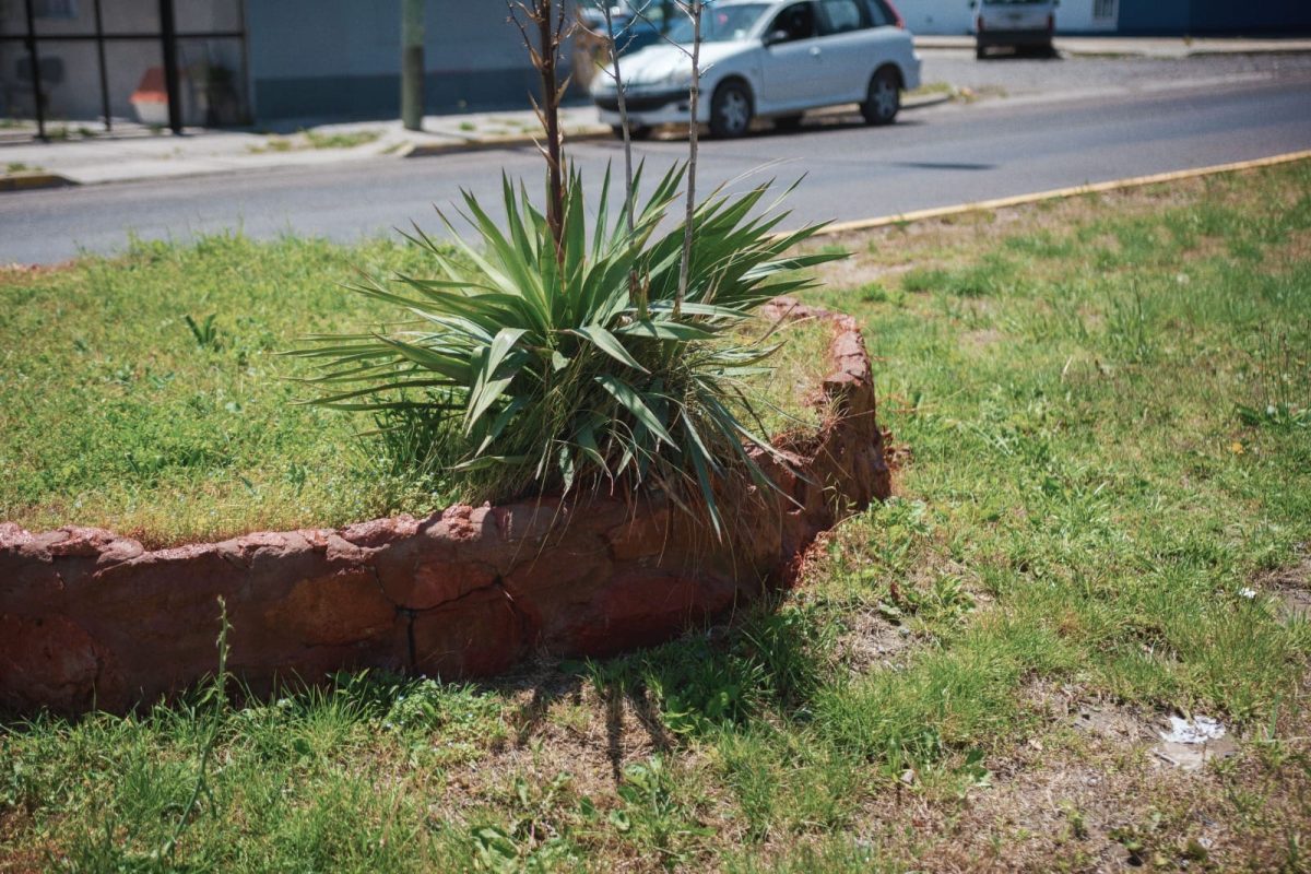 Ambiente Municipal realiza mejoras