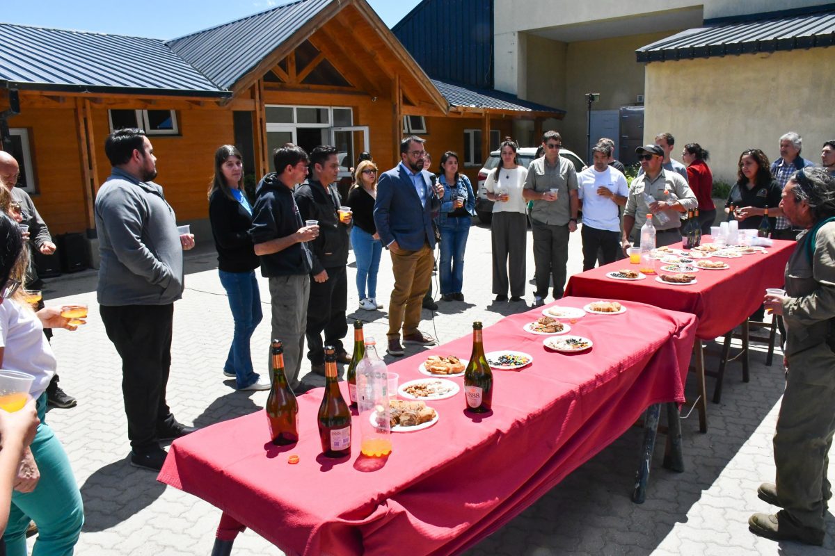 brindis en vísperas de Navidad