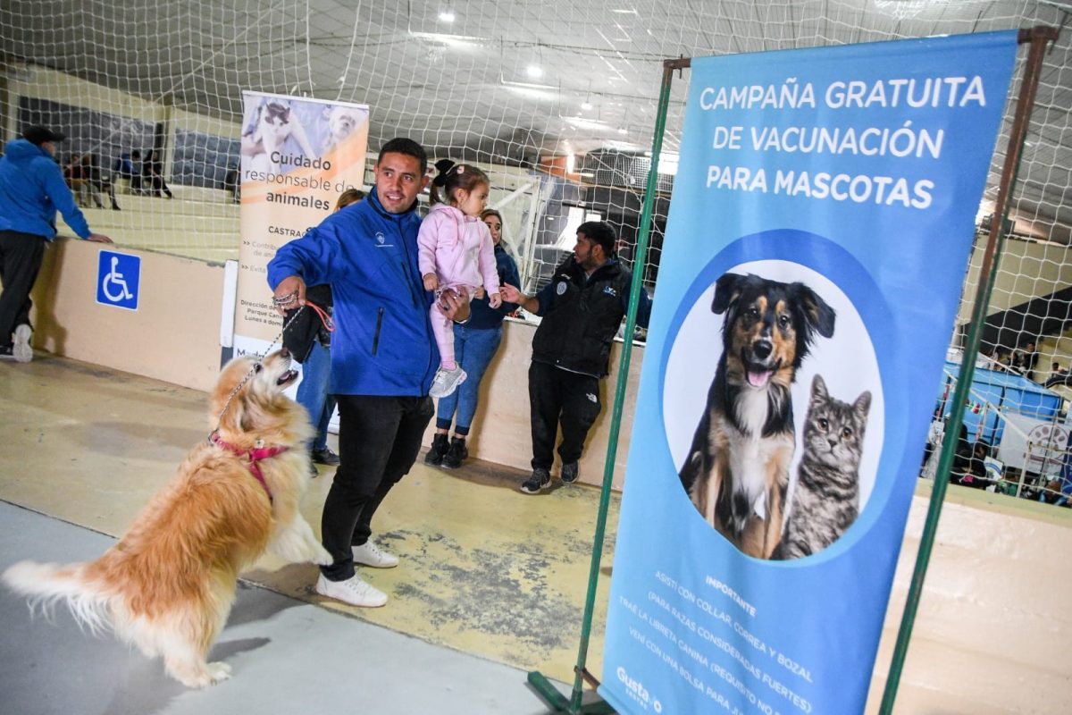 Puerto Madryn: Las campañas de cuidado responsable de animales llegan a tu barrio