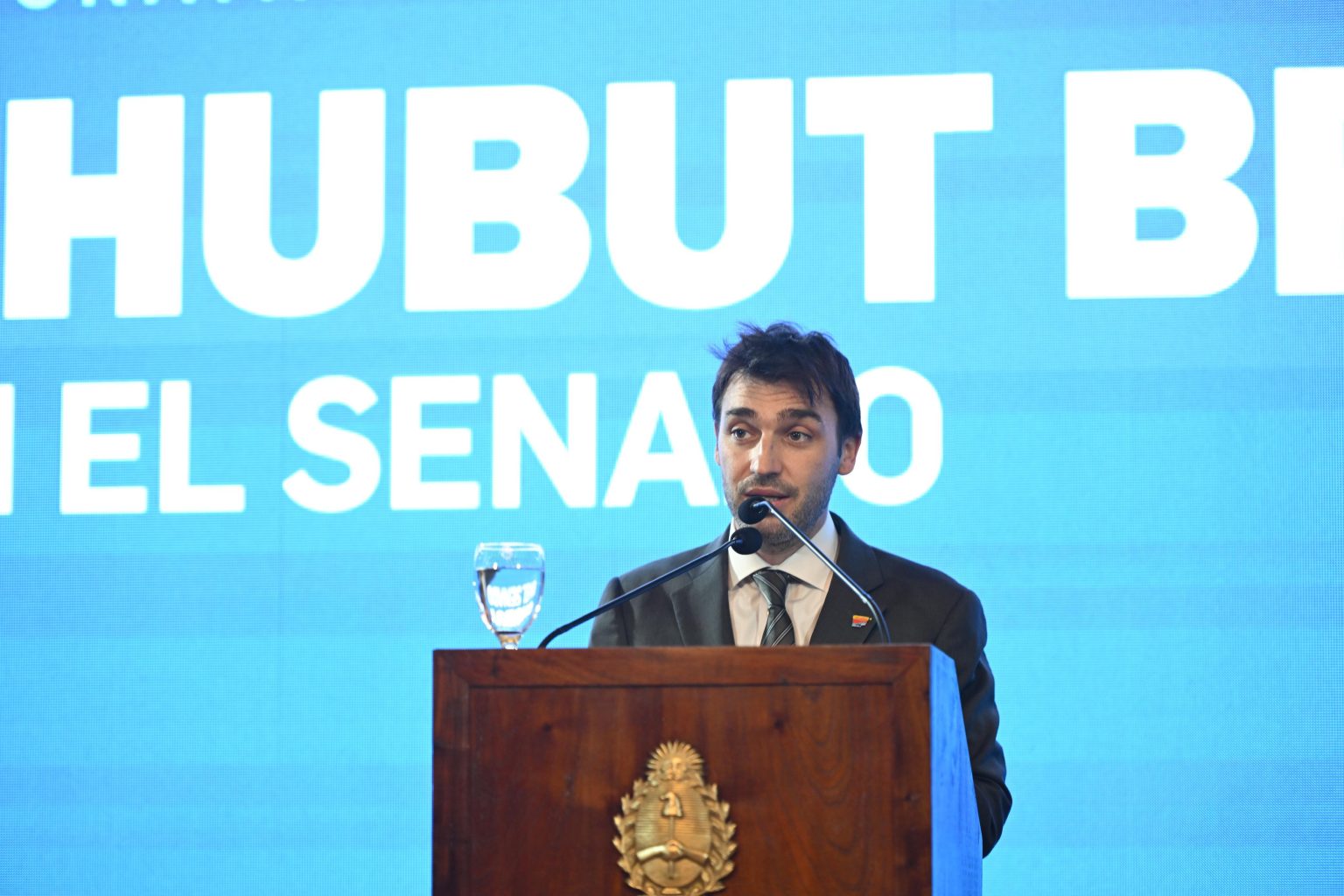 Torres: "Chubut es un ejemplo de superación" y brilla en el Senado