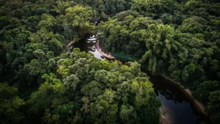 avances en la protección del ambiente