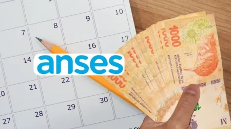 Anses pagos diciembre