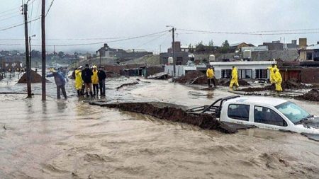 Prisión preventiva Emergencia Climática I