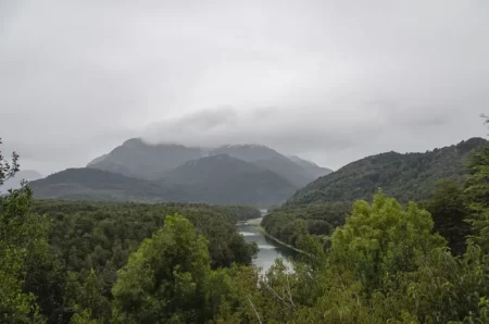 Desalojo Cruz Cárdenas