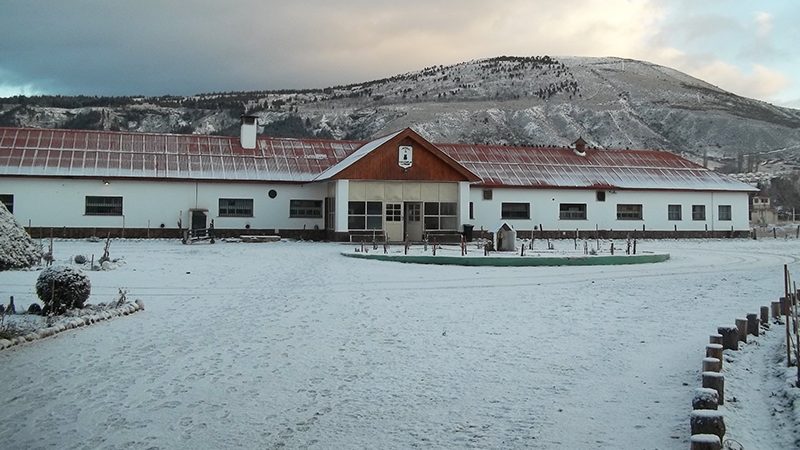 Unidad 14 Esquel