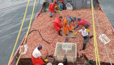 Barcos pesqueros en Rawson