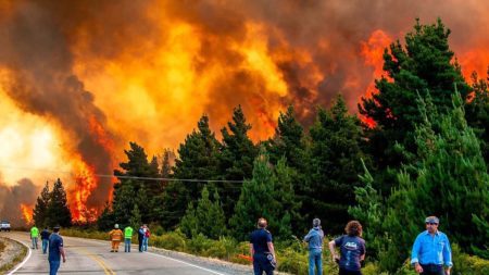 Incendio forestal en Epuyén