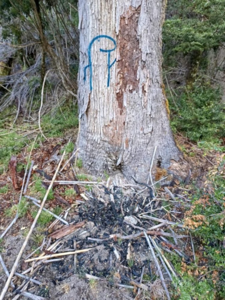 Fogata ilegal en Nahuel Huapi