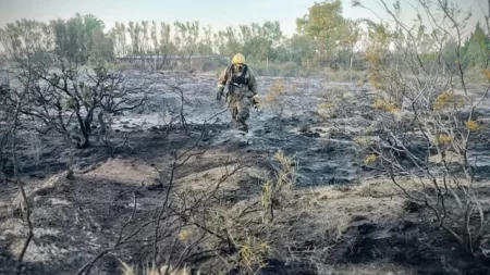 Loro causa incendio en El Doradillo