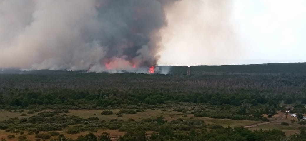 Provincia combate incendios cordillera