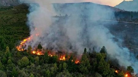 Concejo Deliberante Epuyén incendio