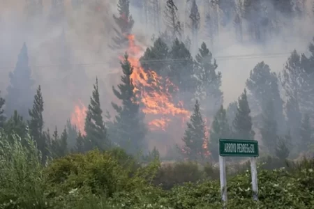 Incendio forestal en Epuyén