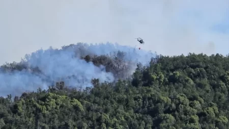 Brigadistas combaten fuego en Nahuel Huapi