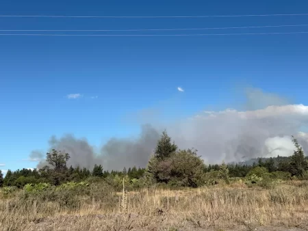 Incendio forestal Los Cipreses