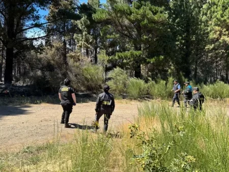 Incendio Epuyén bajo peritaje