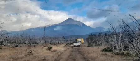 Incendio en Atilio Viglione