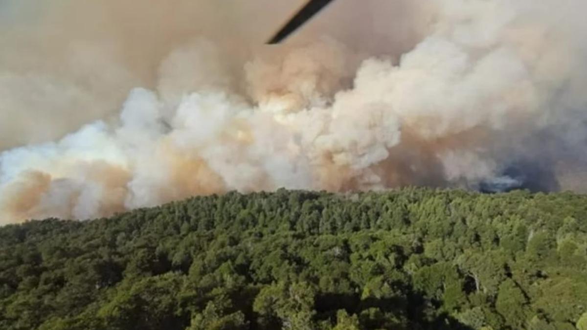 Incendio arrasa 3.500 hectáreas