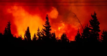 Intentos estafas incendio Epuyén