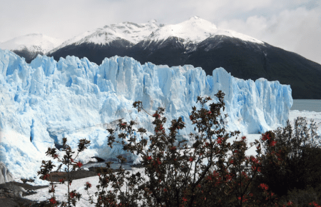 Patagonia precios como Suiza