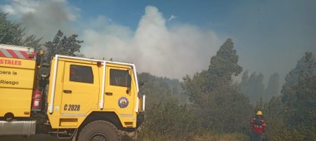 incendio forestal