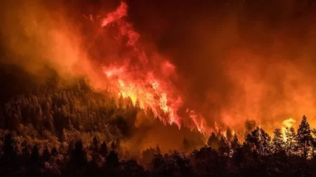 Incendio Nahuel Huapi descontrolado