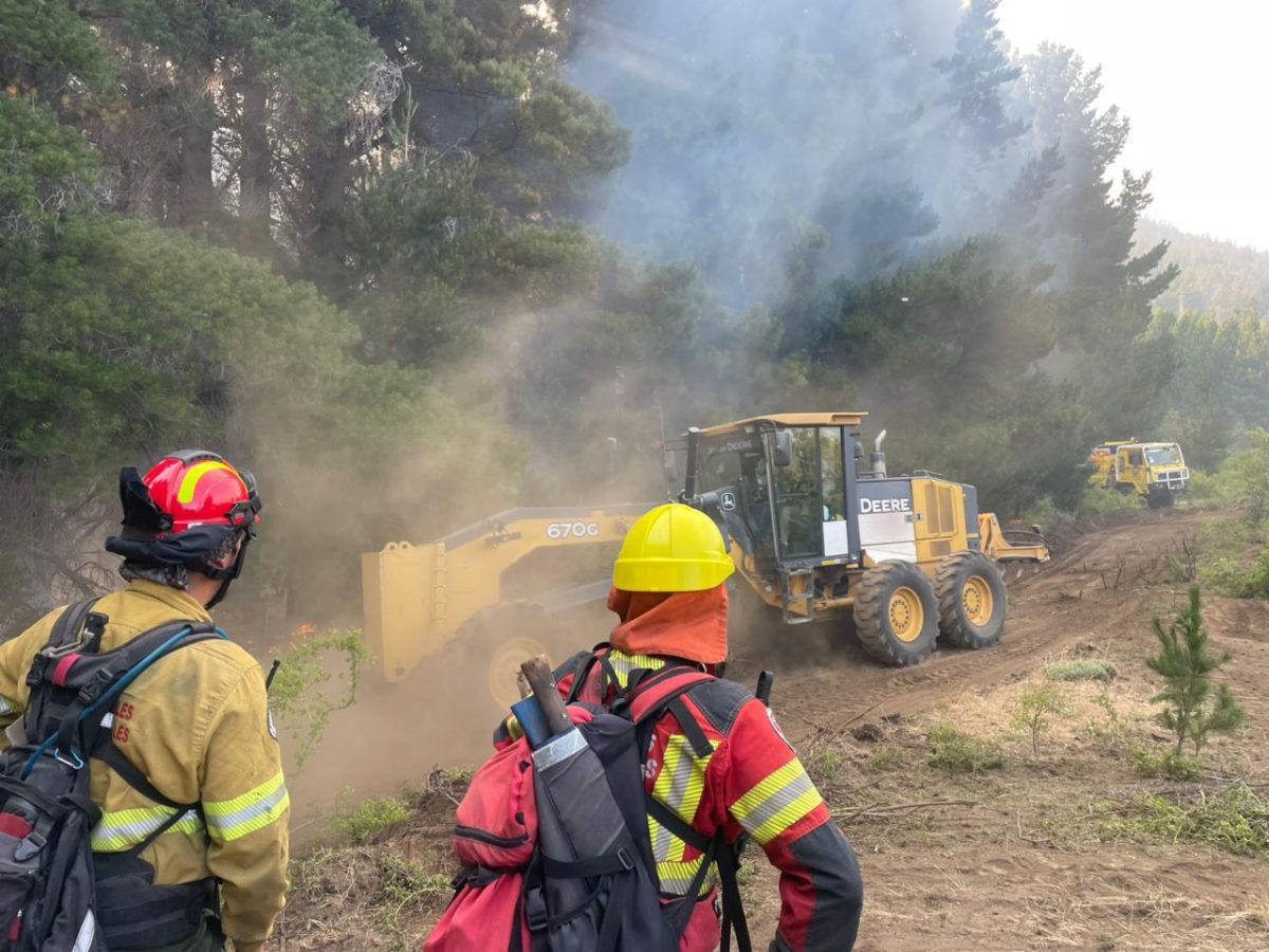 Incendio Los Cipreses circunscripto