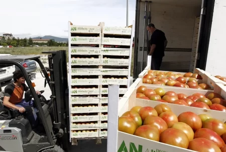 Flexibilizan importación de alimentos