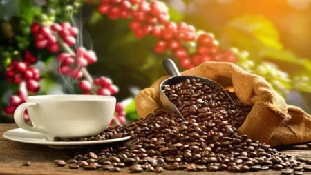 Café y salud cardiovascular