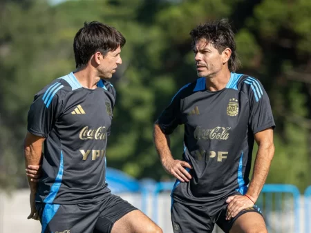 Selección argentina Sudamericano