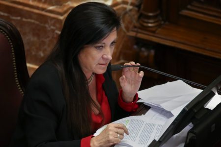 Diputada Rodríguez minorías