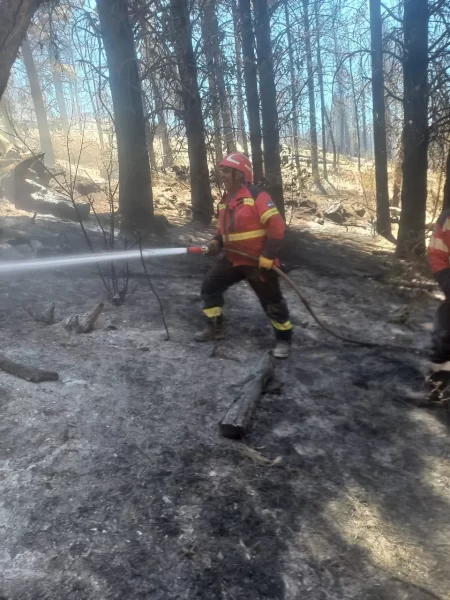 bomberos combatir el fuego