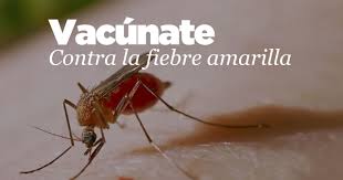 Fiebre amarilla vacuna