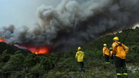 Incendio forestal Bariloche