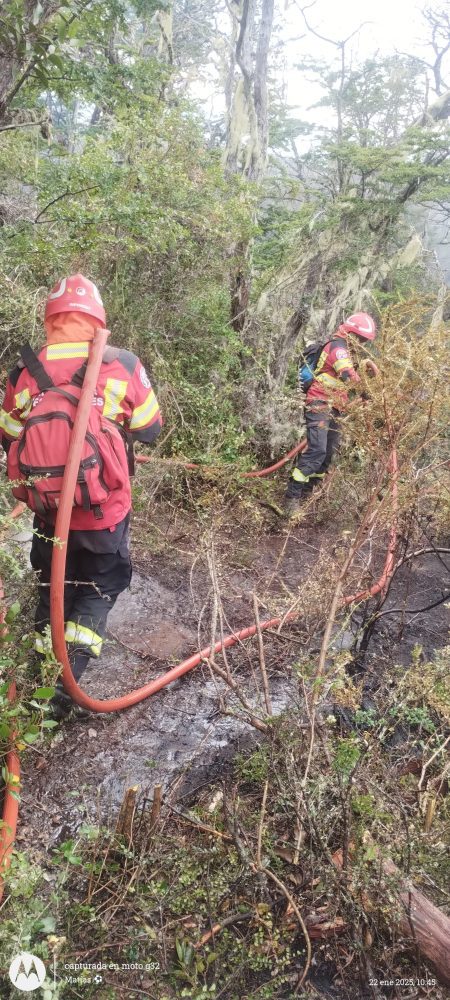 Incendios Epuyén y Atilio Viglione