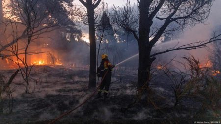 Incendio en la Patagonia