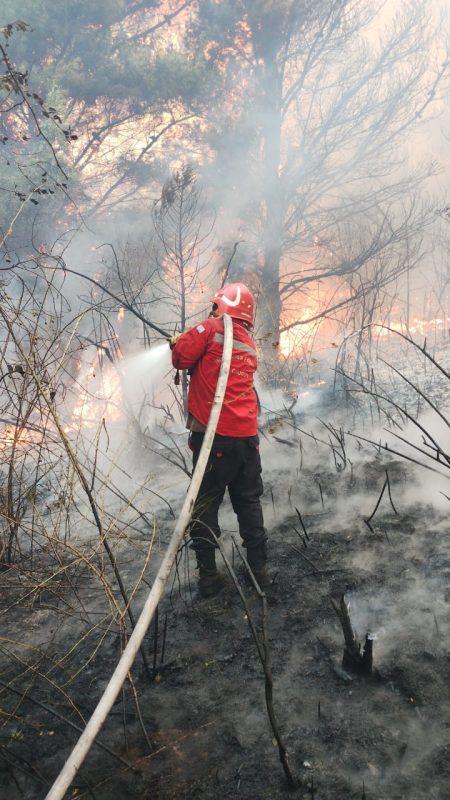 Incendio en Epuyén