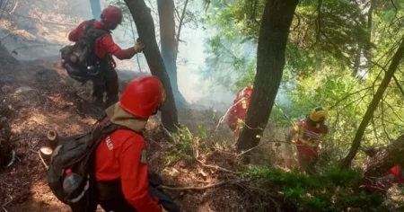 Incendio en Epuyén