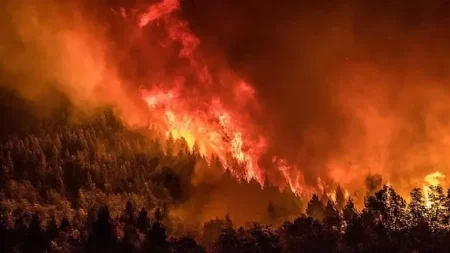 Incendios Nahuel Huapi