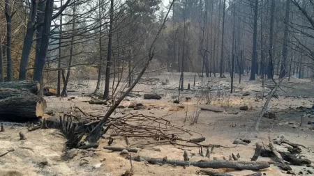 Emergencia Ígnea Río Negro