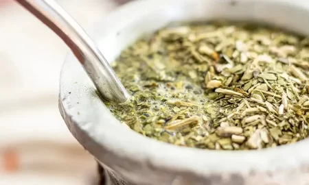 Producción de yerba mate