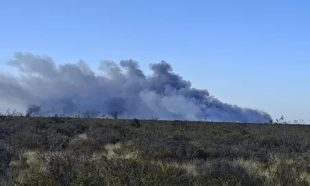 Incendio forestal Puerto Madryn