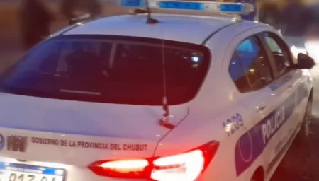 Menores intentaron robar en Trelew