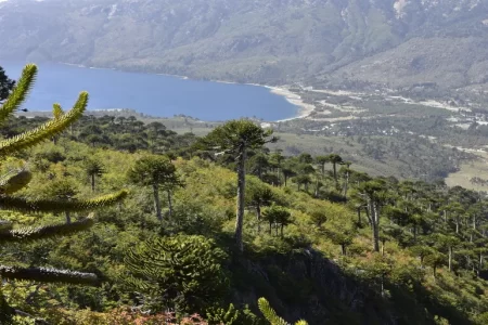 Paisaje en Villa Pehuenia