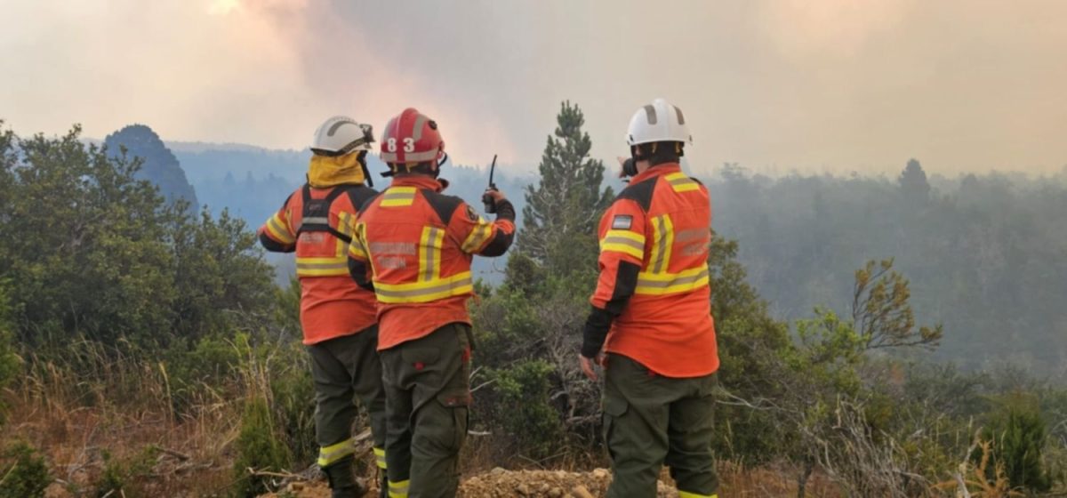 incendio parque Los Alerces